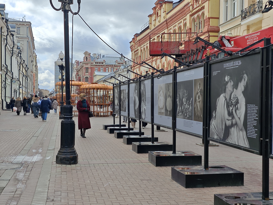Уличная выставка «Парящий лебедь. К 145-летию со дня рождения Анны Павловой»