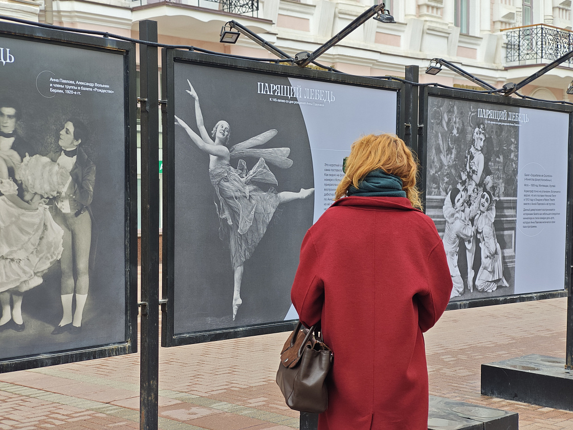 Уличная выставка «Парящий лебедь. К 145-летию со дня рождения Анны Павловой»
